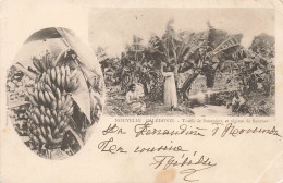 NOUVELLE CALEDONIE - Touffe De Bananiers Et Régime De Bananes - Animé - Carte Postale Ancienne - Nieuw-Caledonië
