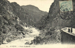 ALGERIE  Gorges De Palestro RV - Other & Unclassified