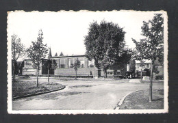 HOBOKEN - GEMEENTESCHOOL CONSTANT MEUNIERPLAATS - NELS  (11.304) - Antwerpen