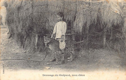 Djibouti - Dressage Du Guépard, Mon élève (Enfant Européen Et Guépard) - Ed. M. F.  - Dschibuti