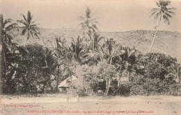 NOUVELLE CALEDONIE - Au Centre Une Case - A Droite Deux Indigènes Grimpant Un Cocotier - Animé - Carte Postale Ancienne - Nouvelle-Calédonie