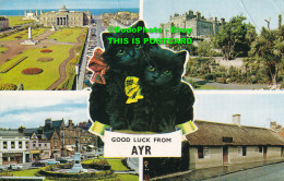 R424168 Good Luck From Ayr. Burns Statue Square. Culzean Castle. Multi View. 196 - Wereld