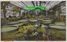 R424203 Frankfurt A. M. Palmengarten. Pflanzenschauhauser. Victoria Regia. No. 2 - Monde