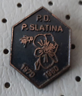 Beekeeping Society P. SLatina 1970/1980 Honey  Bee Bees Slovenia  Pin Badge - Animales