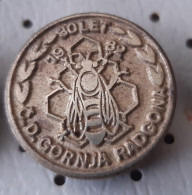 Beekeeping Society CD Gornja Radgona 1982  30 Years Honey  Bee Bees Slovenia  Pin Badge - Animaux