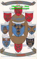 R424239 Arms Of The Church. Bishoprics Of The South. The Ecclesiastical Series - Welt