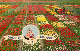 Groeten Uit Netherlands Flower Decoration Tulips Field - Flores