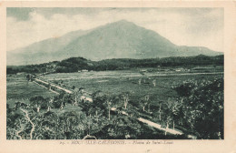 NOUVELLE CALEDONIE - Plaine De Saint Louis - Carte Postale Ancienne - Nouvelle-Calédonie