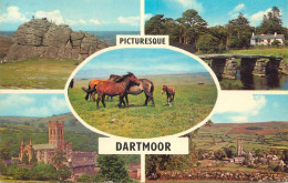 England Picturesque Dartmoor Multi View - Dartmoor