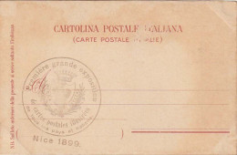 Première Grande Exposition De Cartes Postales Illustrées  NICE 1899 De Tous Les Pays (cachet Sur Cartolina)  Très Rare ! - Souvenir De...