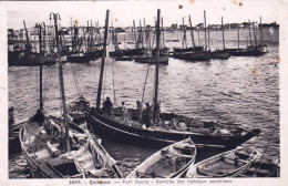 56 - Morbihan -  QUIBERON - Port Maria - Rentrée Des Bateaux Sardiniers - Quiberon