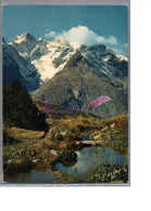 BEAUX SITES ET PAYSAGES DES HAUTES ALPES 05 - Un Jardin Alpin Riviere Montagne  - Andere & Zonder Classificatie