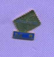 Rare Pins Informatique Bull Egf I147 - Informatik