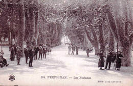 66 - Pyrénées Orientales -   PERPIGNAN -  Les Platanes - Belle Animation - Perpignan