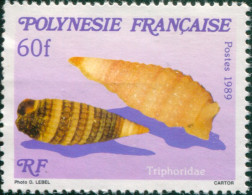 French Polynesia 1989 Sc#523,SG573 60f Sea Shell MNH - Altri & Non Classificati