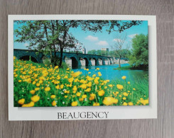 Beaugency : Carte Non écrite : Voir Informations - Beaugency