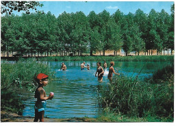 RIO PISUERGA, LA LERA / PISUERGA RIVER ", THE " LERA ".-  HERRERA DE PISUERGA - PALENCIA.- ( ESPAÑA ) - Palencia