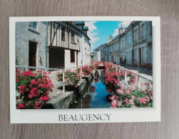 Beaugency : Carte Non écrite : Voir Informations - Beaugency