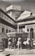 Andalucia - Granada  -  Alhambra  -  Patio De Los Leones - Granada