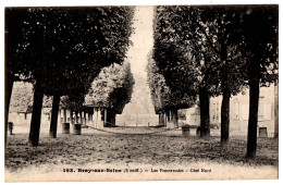 CPA 77 - BRAY SUR SEINE (Seine Et Marne) - 163. Les Promenades - Côté Nord - Bray Sur Seine