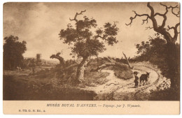CPA Musée Royal D'ANVERS - Paysage, Par J. Wynants - N°773. G. Hermans. Ed. - Schilderijen