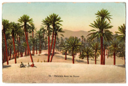 CPA ALGERIE - 55. Palmiers Dans Les Dunes - Sonstige & Ohne Zuordnung