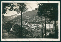 Trento Primiero Fiera Di Foto FG Cartolina VK2988 - Trento