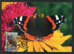 GIBRALTAR (2023) Carte Maximum Card - Butterflies, Papillon, Red Admiral, Vanessa Atalanta, Vulcain, Schmetterling - Gibraltar