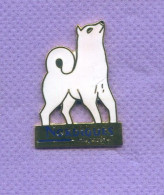 Superbe Pins Chien Blanc Magazine Nordiques Egf I220 - Médias