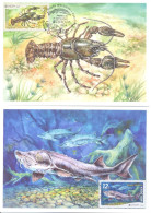 2024. Moldova,  Europa 2024, Underwater Flora And Fauna Of Moldova, 2 Maxicards, Mint/** - Moldavie