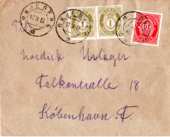 Norwegen 1918, 10+Paar 1 öre Auf Portorichtigem Brief V. Skjeberg N. Dänemark - Brieven En Documenten