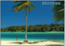 CPM - MOORÉA - Plage Du Club Med ....Edition Pacific Promotion - French Polynesia
