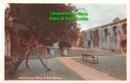 R424882 Glastonbury Abbey And Holy Thorn. RP - Monde