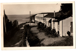 CPSM PF 29 - PLOUGASNOU (Finistère) - 701. La Descente à La Plage Devant La Colonie - Plougasnou