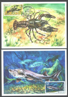 Moldova ,  Europa  2024 Underwater Flora And Fauna,  Fish, Crayfish, Set Maxicards - Mundo Aquatico