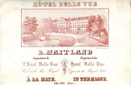 DE 1883 - Carte Porcelaine De R. Maitland, Hotel Belle Vue, La Haye (The Hague) Imp C. Born, Mayence - Altri & Non Classificati