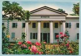 L'ILE DE LA REUNION - St-Denis - Le Muséum Au Jardin De L'Etat - Saint Denis