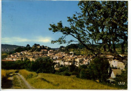 CPSM 10.5 X 15 Var SALERNES  Vue Générale - Salernes