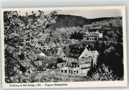 10013404 - Bad Salzig - Boppard