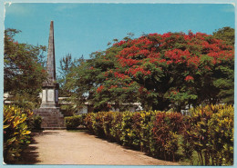 ILE DE LA REUNION - Monument De Aux Morts De Saint-Pierre - Saint Pierre