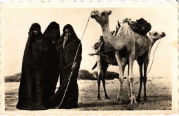 PC MAURITANIA FEMMES MAURES A LA CORVÉE DE BOIS ETHNIC TYPES (a53258) - Mauritania