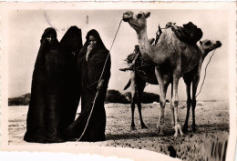 PC MAURITANIA FEMMES MAURES A LA CORVÉE DE BOIS ETHNIC TYPES (a53246) - Mauritania