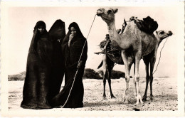 PC MAURITANIA FEMMES MAURES A LA CORVÉE DE BOIS ETHNIC TYPES (a53231) - Mauretanien