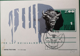 Polen Postkarte 1979 50 Jahre Zoo Warschau Wisent Mit SSt - Ongebruikt