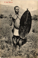 PC AFRICA, SOUTH AFRICA, A ZULU WARRIOR, Vintage Postcard (b53109) - Afrique Du Sud