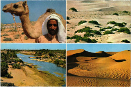 PC SAUDI ARABIA, THE RARE BEDOUIN, Modern Postcard (b52890) - Saoedi-Arabië