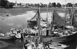 Loctudy * Un Coin Du Port à Marée Basse * Bateaux De Pêche - Loctudy