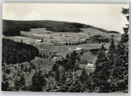 51219804 - Hinterzarten - Hinterzarten