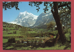 Grindelwald - Wetterhorn - Grindelwald