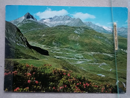 KOV 799-38 - SWITZERLAND, OBERALPPASS , PIZ TIARMS - Sonstige & Ohne Zuordnung